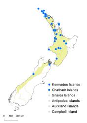 Ophioglossum petiolatum distribution map based on databased records at AK, CHR and WELT. 
 Image: K. Boardman © Landcare Research 2015 CC BY 3.0 NZ